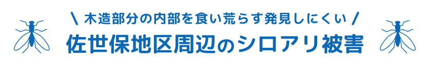 シロアリ被害