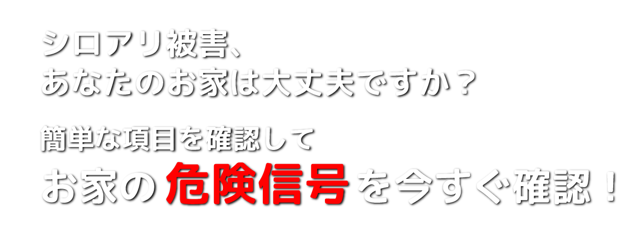 シロアリの被害、あなたのお家は大丈夫ですか？